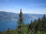 Fotoimpressionen Weggis und Vierwaldstätter See
