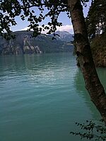 Fotoimpressionen Weggis und Vierwaldstätter See